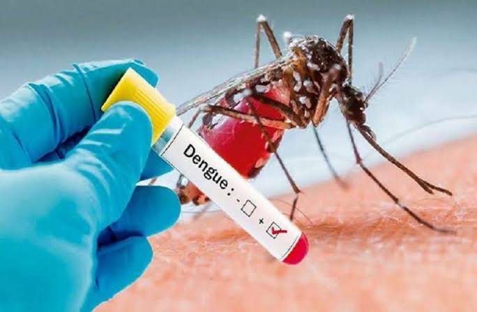 UP:  डेंगू और बुखार  ने मचाया कोहराम, 67 की मौत, डीएम ने कूलर में पानी किया प्रतिबंधित
